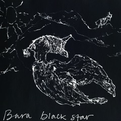 Bara Black Star