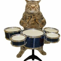 STS349Sauce-Assignment4: drums