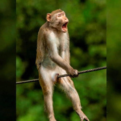 La guitare c'est la nostalige en ft