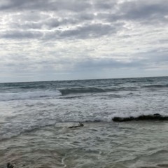 PROPRYUTE—EXTREME PROD TRUCKBOMB