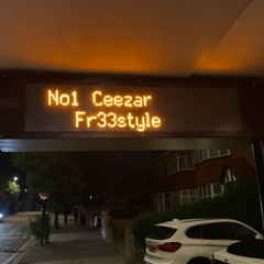 FR33STYLE