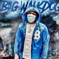 BigWalkDog - Dog Shit