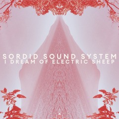 DC Promo Tracks: Sordid Sound System "The Great Psychic Outdoors"