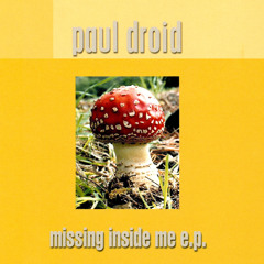Missing Inside Me (Extension Mix)