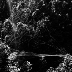 Night Shift w/ Diamondstein and James Benjamin 090523