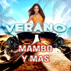 MIX VERANO 2024 - MAMBO, HOUSE Y ELECTRO (DJ JONATHAN SORIA)