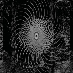 premiere: Matriark x HyperLili - The System [WAVE004]