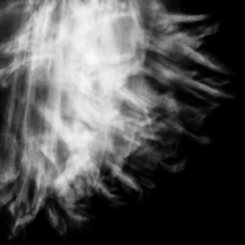 The Nothing’s Thought Exists / Déjà Vu