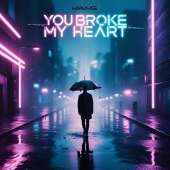 You Broke My Heart