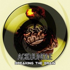 Acidjungle - Breaking the Brain (FREE DOWNLOAD)