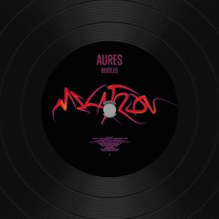 Laylow - Megatron (Aures Bootleg)