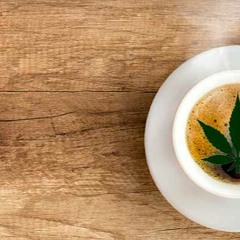 Кофєйок (Регги, Reggae)