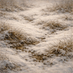 Light Returning Slowly