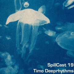 SpillCast 19 - Timo Deeprhythms LIVE @ SUMU 01.04.23