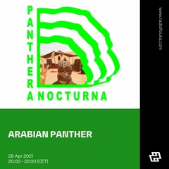 Panthera Nocturna with Arabian Panther - 28/04/2021