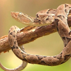 Cuando el Techno se convierte en Terciopelo  6