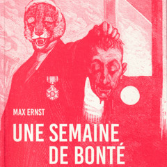Ernst-UneSemaineDeBonte-Critique