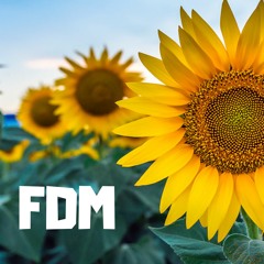 Sunflower FDM mix(Uninamise x Post Malone x Swae Lee)