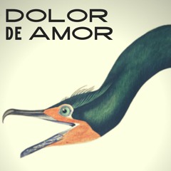 Dolor De Amor