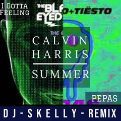 (I Gotta SUMMER feeling of PEPAS) - DJ SKELLY