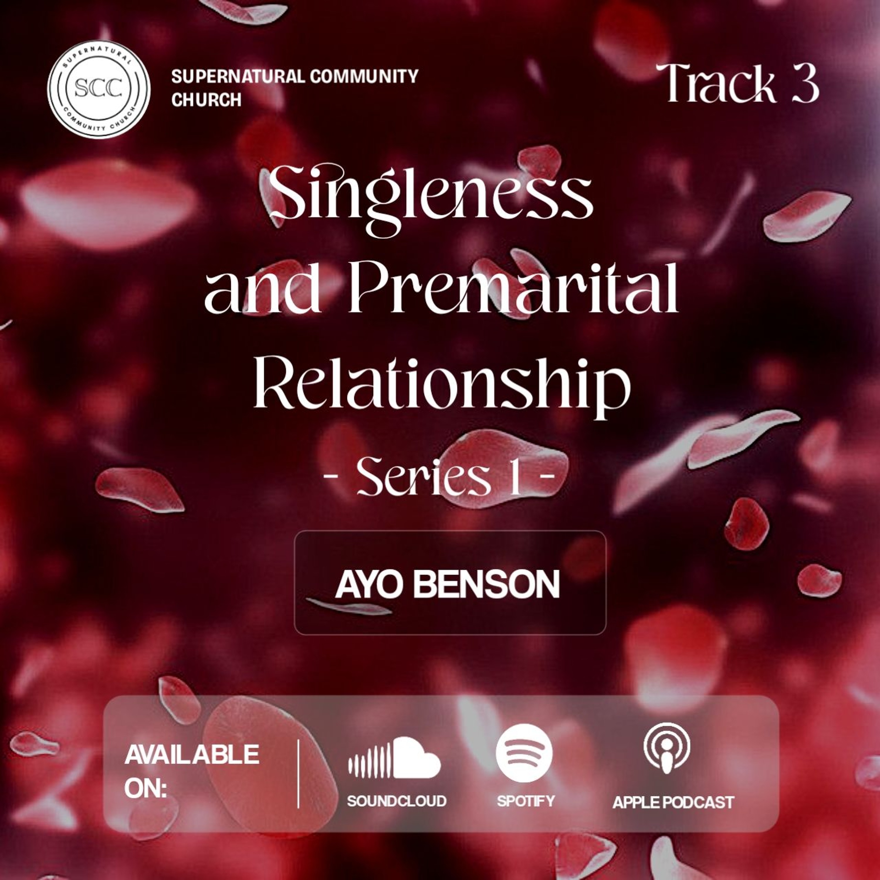 Singleness and Premarital Relationship (3)