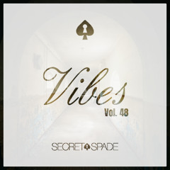 Vibes Vol.48