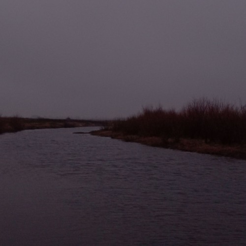 Без свидетелей
