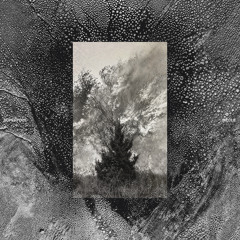 Gosélia / Fragments