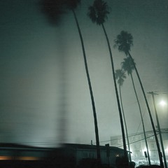 Blossom Valley (Mastered)