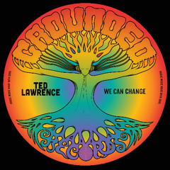 Ted Lawerence - We Can Change Genetic Funk Remix