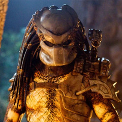 Predator