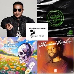 The Sunday Supplement 37 - 20-04-25