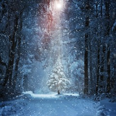 Snowflakes And Christmas Tree