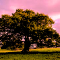 Rather Sleep Hoodtrap Slowed Reverb