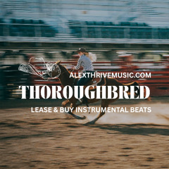 Thoroughbred (Luke Combs Country Type Beat)