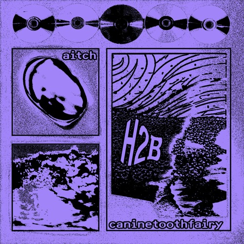 aitch & Caninethoothfairy - H2B