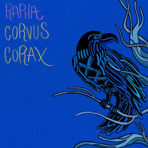 Corvus Corax