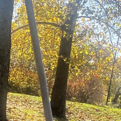 Thankful For Hooters