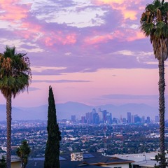 Realest of the jungle |  (prod. by NinjaNone24)