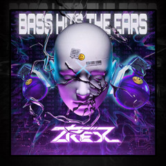 Mixtape | Bass Hits The Ears | T'REX Mix