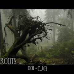 #ROOTS 001: C_hB