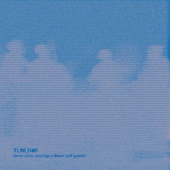 TLNLDMI I / Desert Quill Quartet