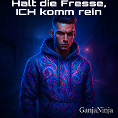 Halt die Fresse, Ich komm rein