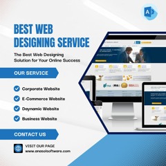 Software & Website Development Company - Anasol Software