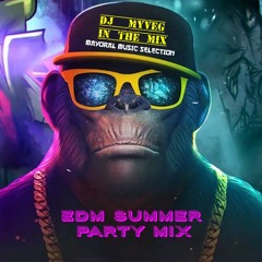 Best EDM Summer Party Dance Music 2024 😎