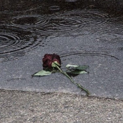 (skip to 1min) Lukas Graham - 7 Years - but it's a Smokedope2k16 Beat