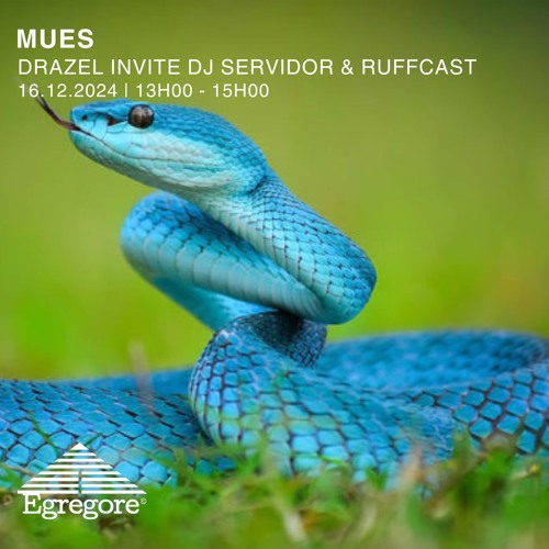 Drazel invite DJ Servidor et Ruffcast - Mues (Décembre 2024)