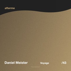 Daniel Meister - Voyage (Original Mix)