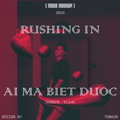 Rushing In X Ai Mà Biết Được (MasB Mashup)