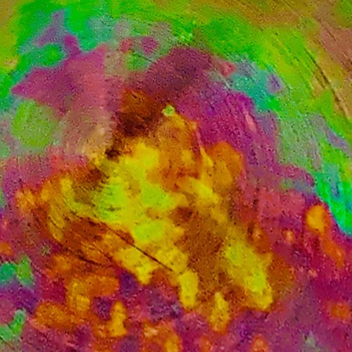 Grooving on a Sunnyday Afternoon☑️🦖🎸.m4a